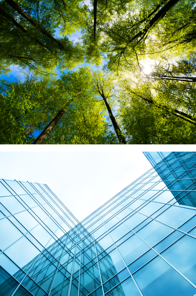 Photo of looking up at trees to sky and photo of looking up at sky along glass building
